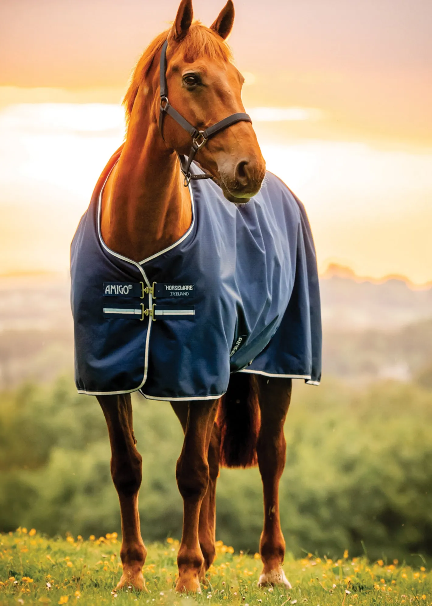 HORSEWARE ® Ireland Amigo® Ripstop 900D 100 Gram Standard Neck Pony Turnout–Seasonal Color