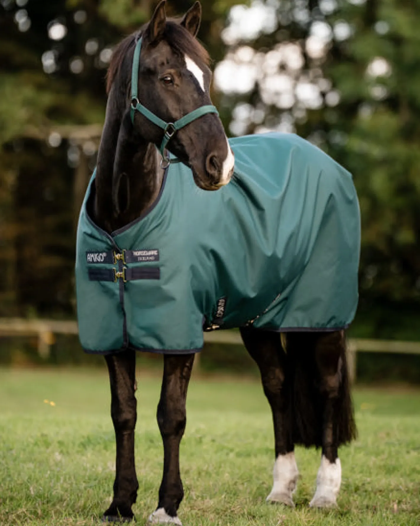 HORSEWARE ® Ireland Amigo® Ripstop 900D 100 Gram Standard Neck Pony Turnout–Seasonal Color