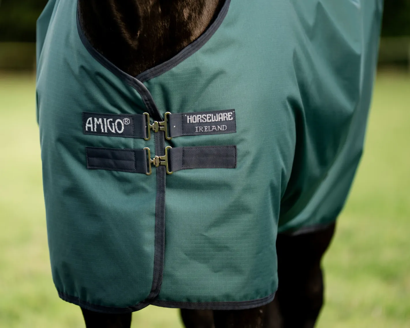 HORSEWARE ® Ireland Amigo® Ripstop 900D 100 Gram Standard Neck Pony Turnout–Seasonal Color