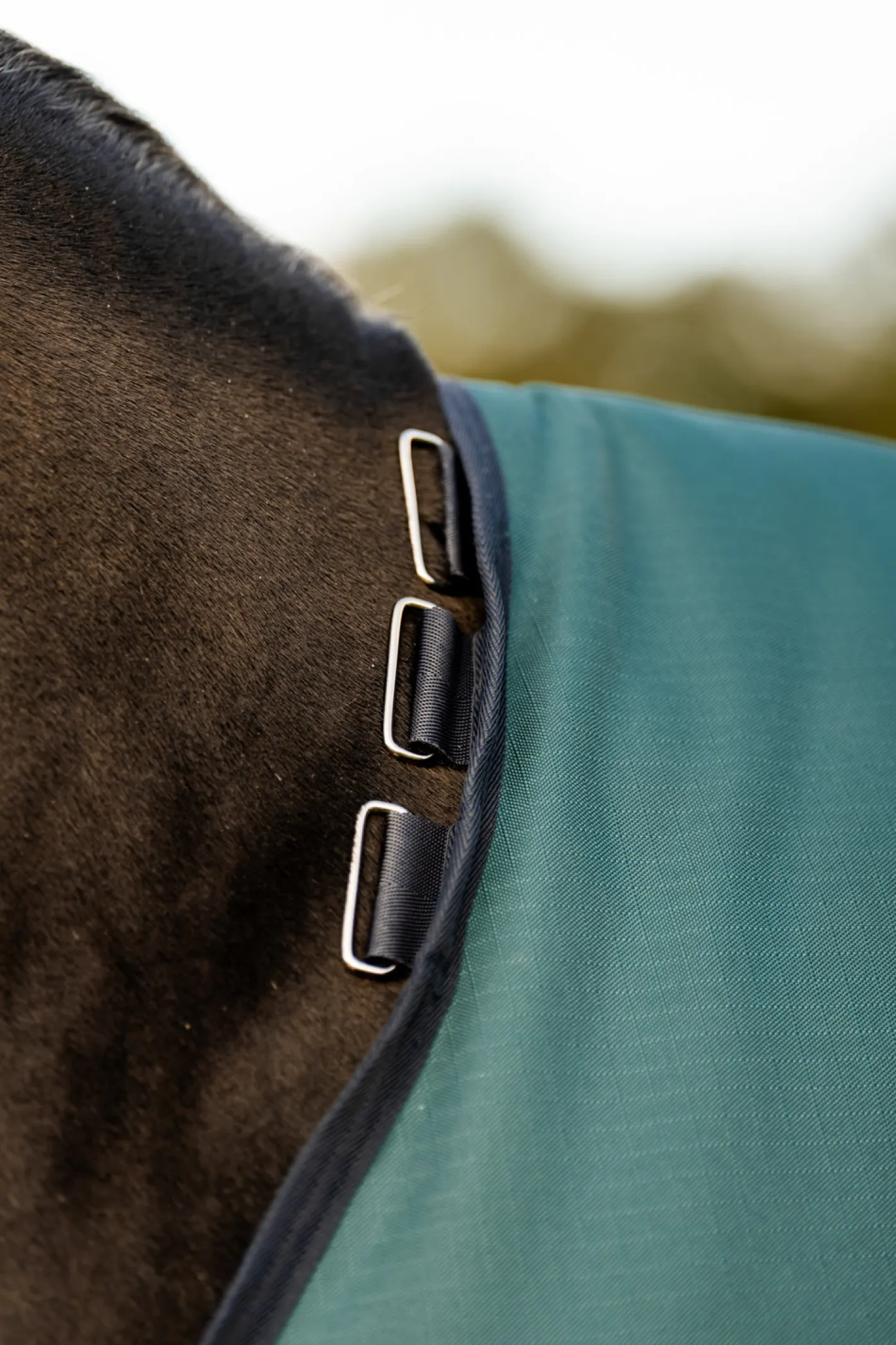 HORSEWARE ® Ireland Amigo® Ripstop 900D 100 Gram Standard Neck Pony Turnout–Seasonal Color
