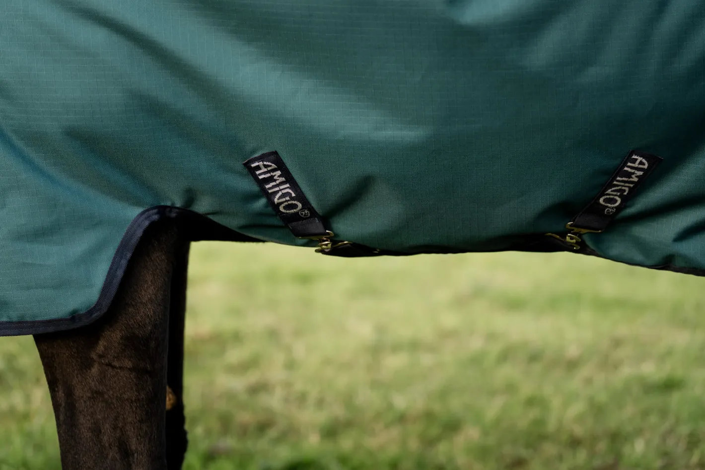 HORSEWARE ® Ireland Amigo® Ripstop 900D 100 Gram Standard Neck Pony Turnout–Seasonal Color
