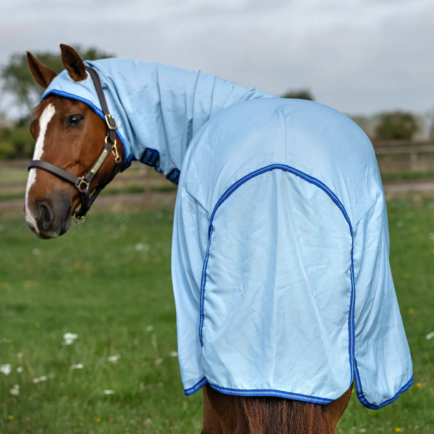 HORSEWARE ® Ireland Amigo® Ripstop Hoody Blanket