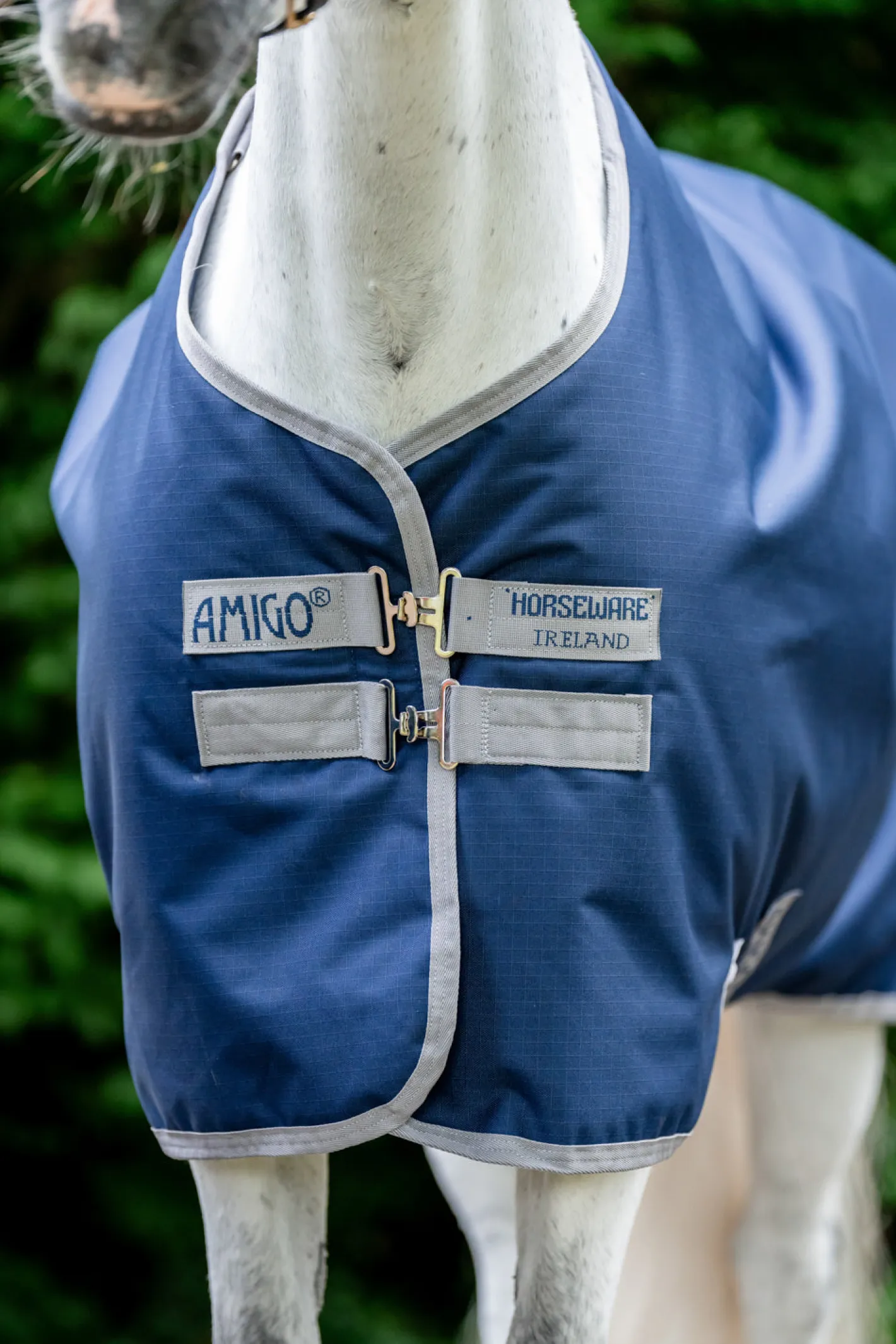 HORSEWARE ® Ireland Amigo® Ripstop 900D Turnout 50 Gram Fleece Lined Standard Neck