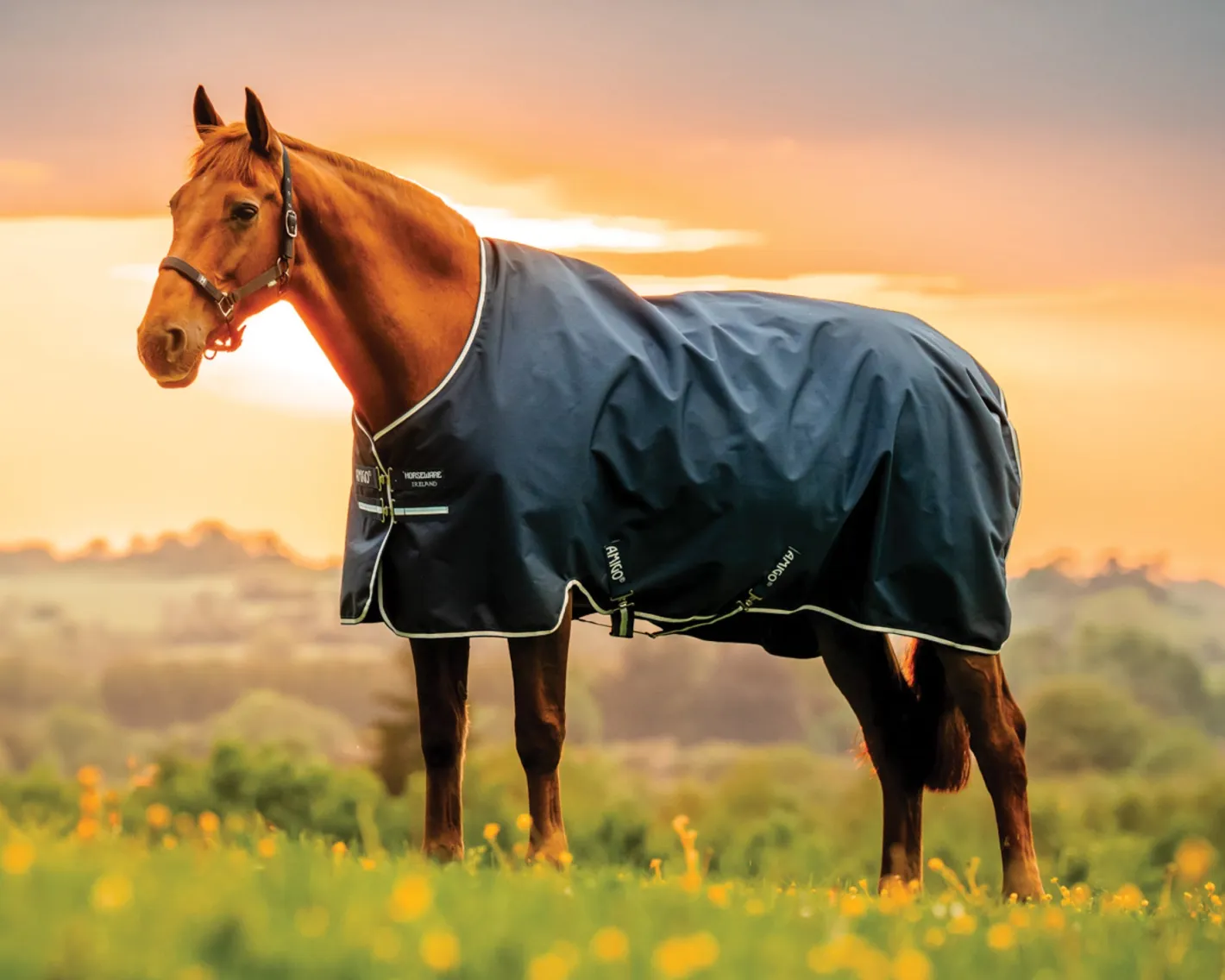 HORSEWARE ® Ireland Amigo® Ripstop 900D 200 Gram Standard Neck Turnout–Seasonal Color
