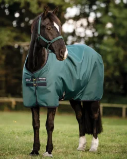 HORSEWARE ® Ireland Amigo® Ripstop 900D 200 Gram Standard Neck Turnout–Seasonal Color