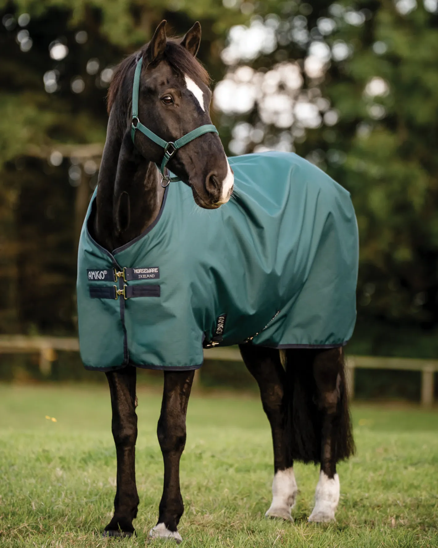 HORSEWARE ® Ireland Amigo® Ripstop 900D 200 Gram Standard Neck Turnout–Seasonal Color