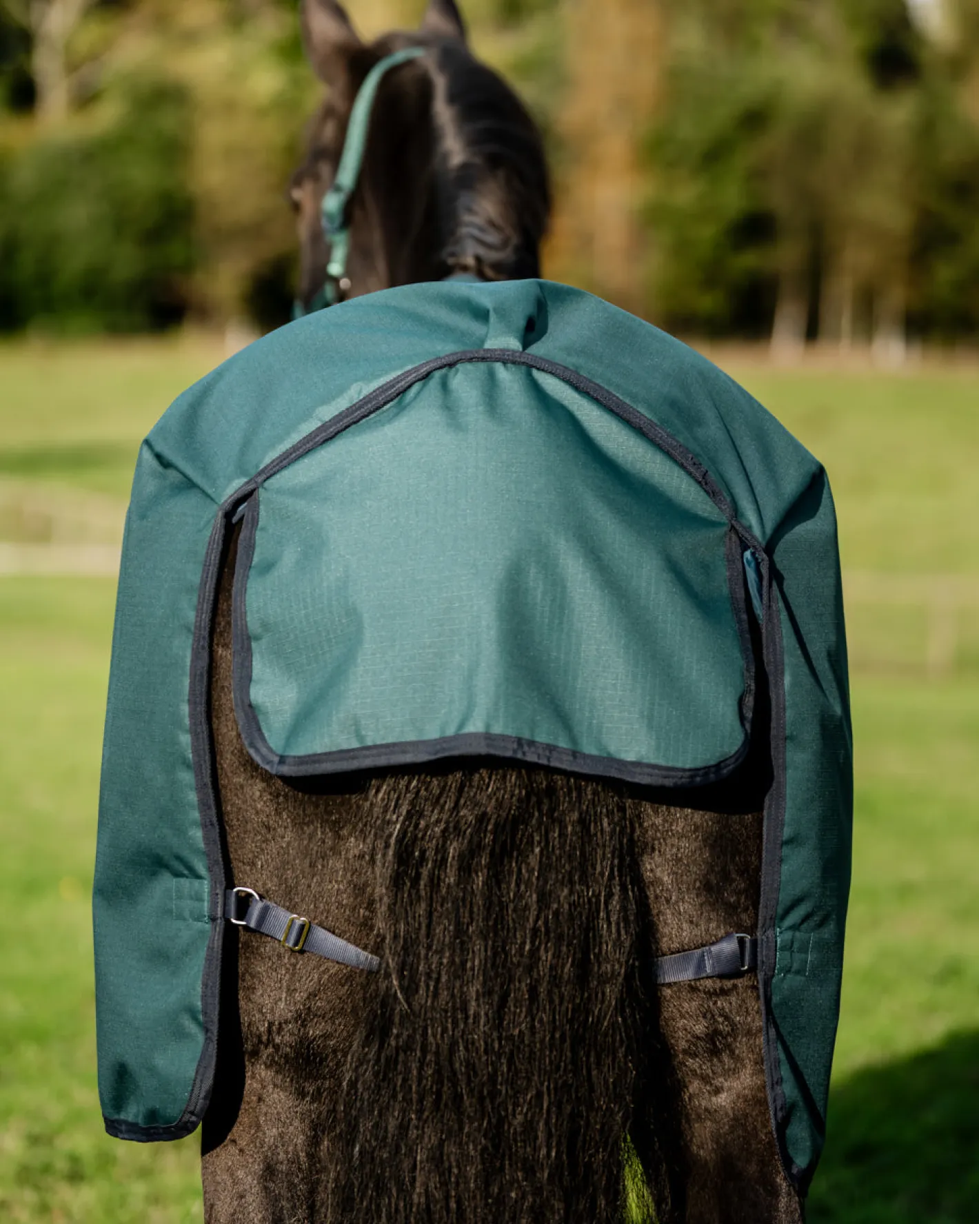 HORSEWARE ® Ireland Amigo® Ripstop 900D 200 Gram Standard Neck Turnout–Seasonal Color