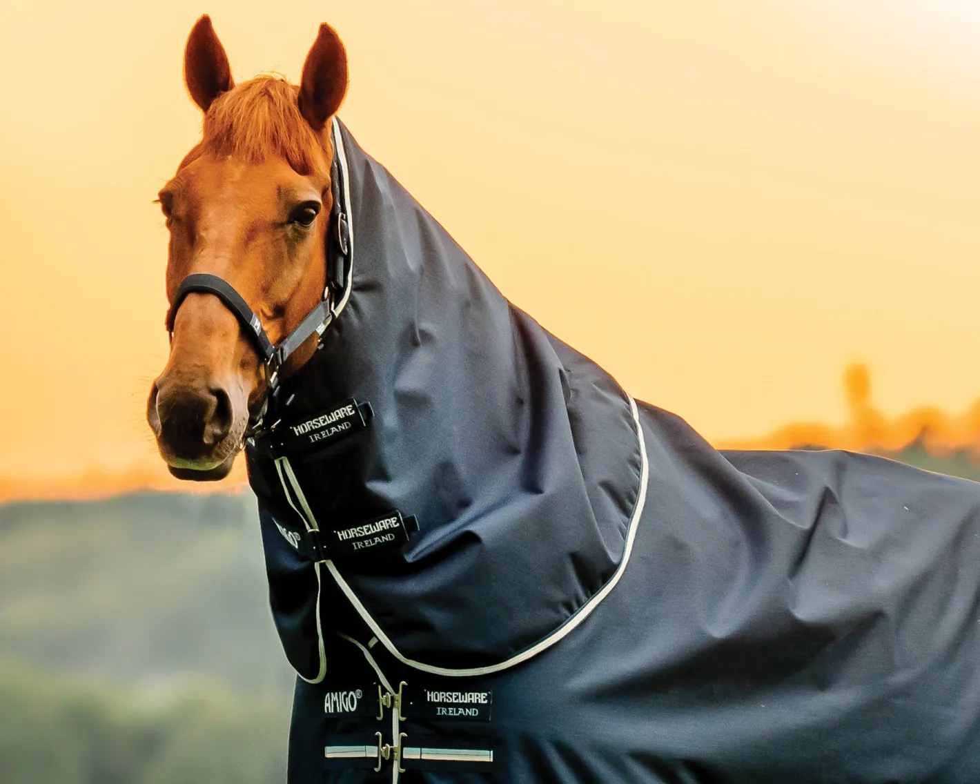 HORSEWARE ® Ireland Amigo® Ripstop 900D 200 Grams Plus Turnout