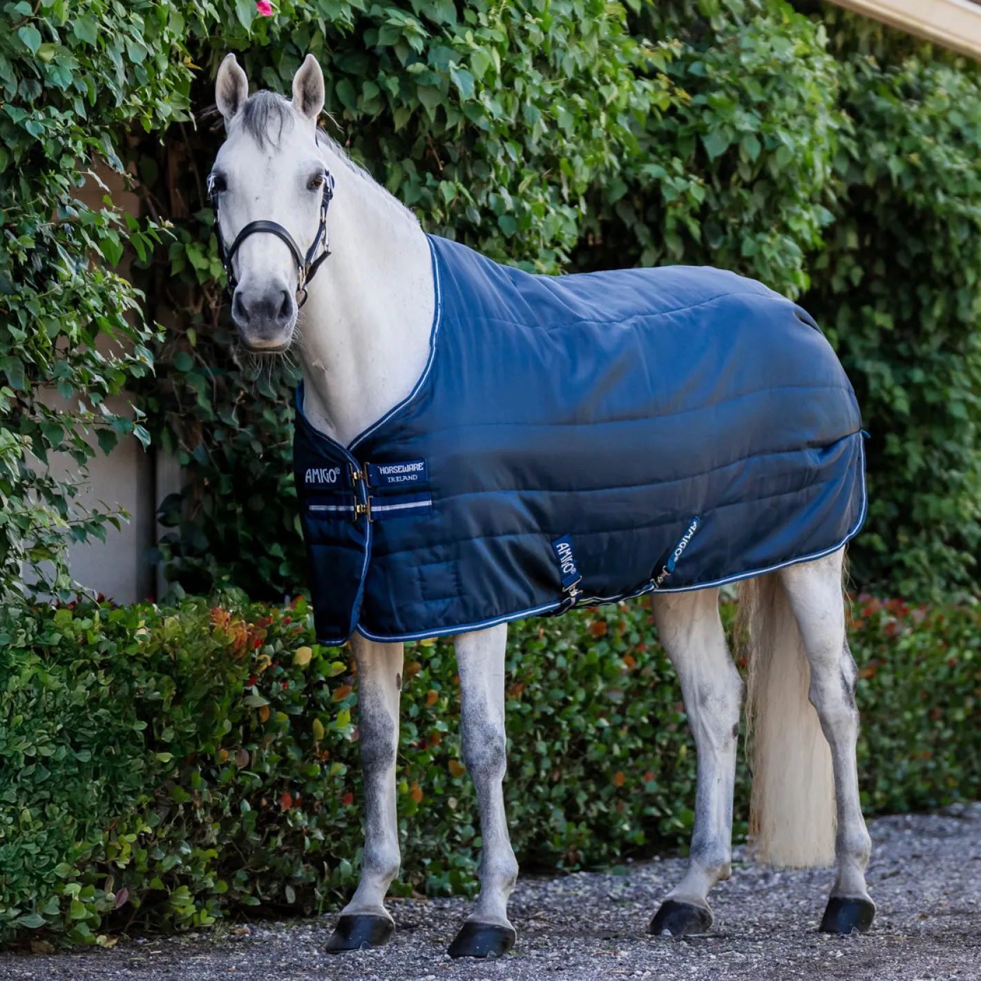 HORSEWARE ® Ireland Amigo® Ripstop Insulator Stable Blanket - 50G