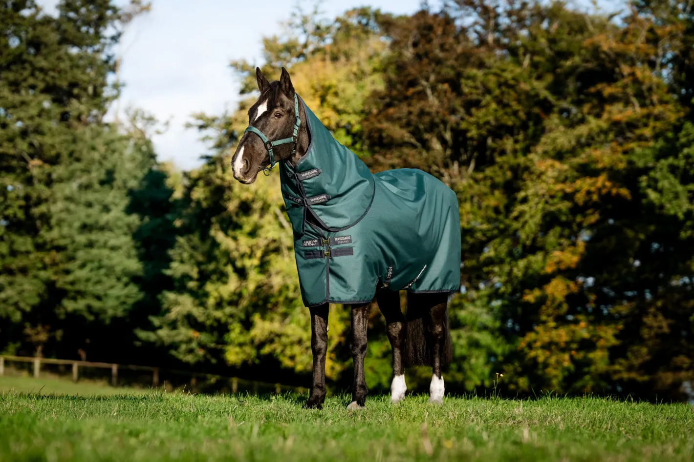 HORSEWARE ® Ireland Amigo® Ripstop 900D Plus Pony Turnout Sheet