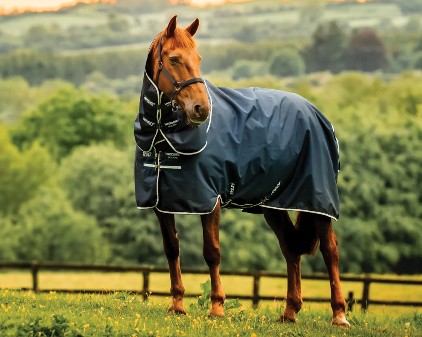 HORSEWARE ® Ireland Amigo® Ripstop 900D Plus Pony Turnout Sheet