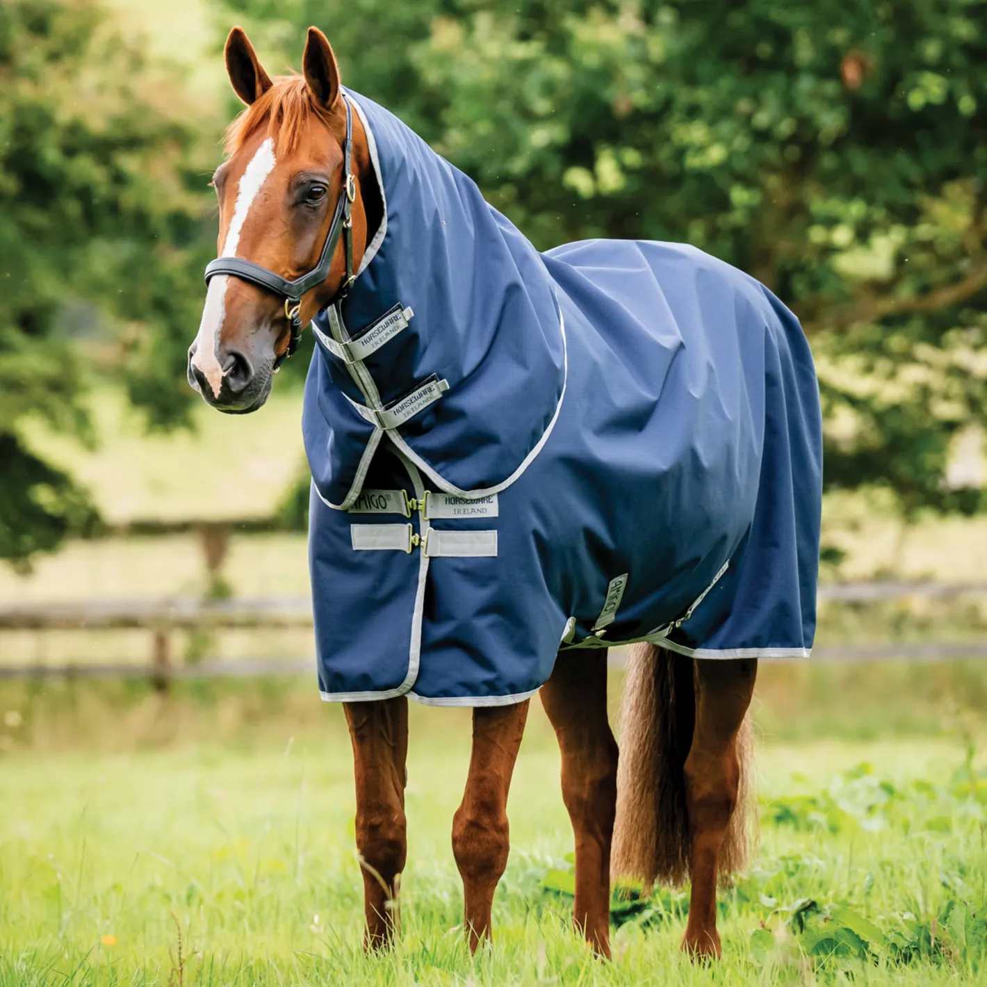 HORSEWARE ® Ireland Amigo® Ripstop 900D Plus Turnout Sheet