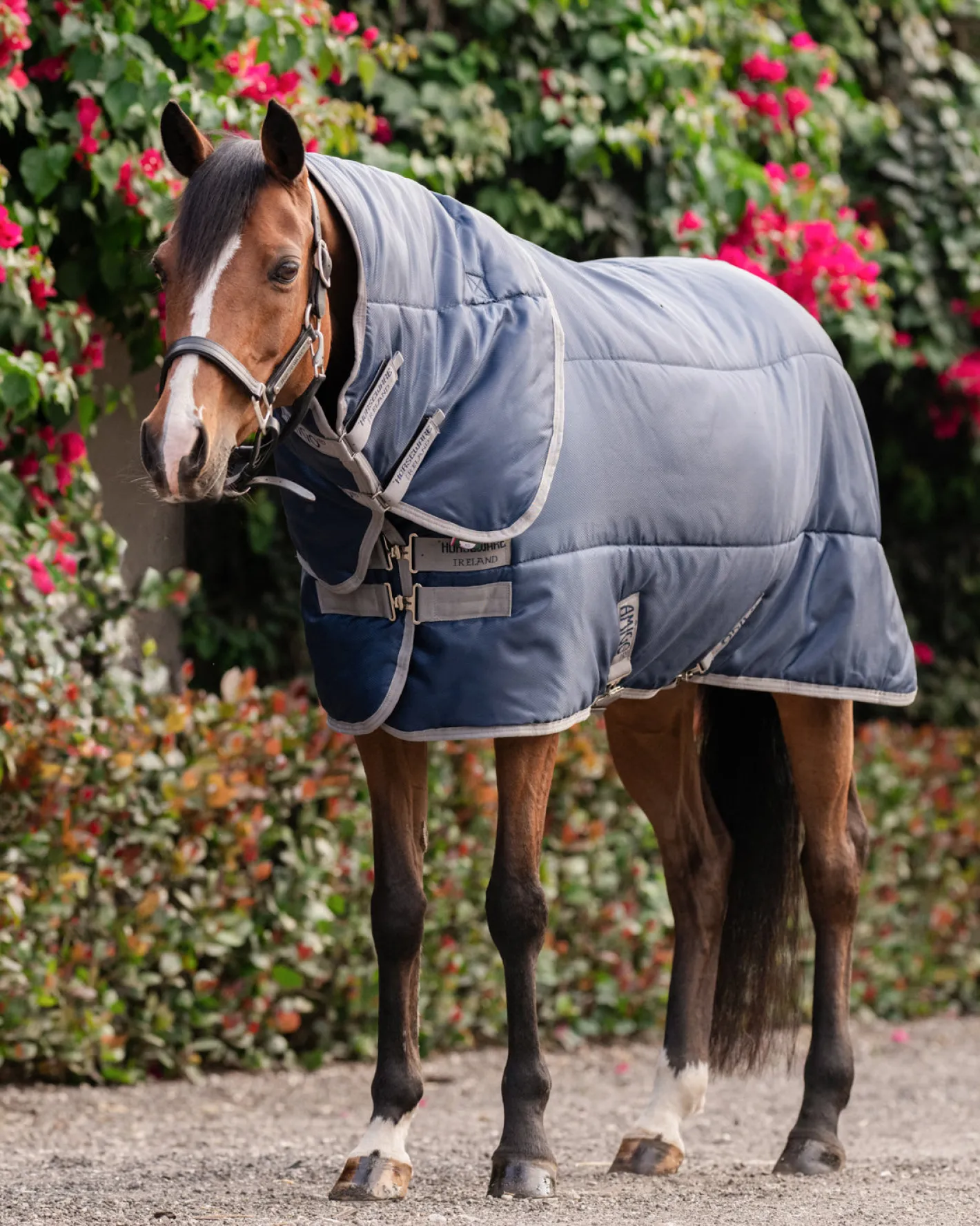 HORSEWARE ® Ireland Amigo® Ripstop Insulator Stable Pony Plus Blanket - 200G