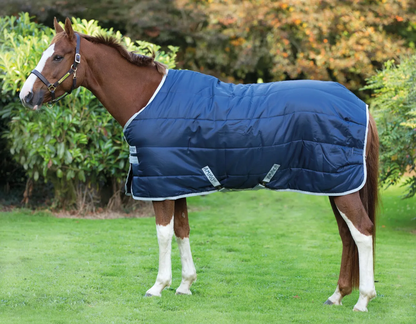 HORSEWARE ® Ireland Amigo® Stable Blanket