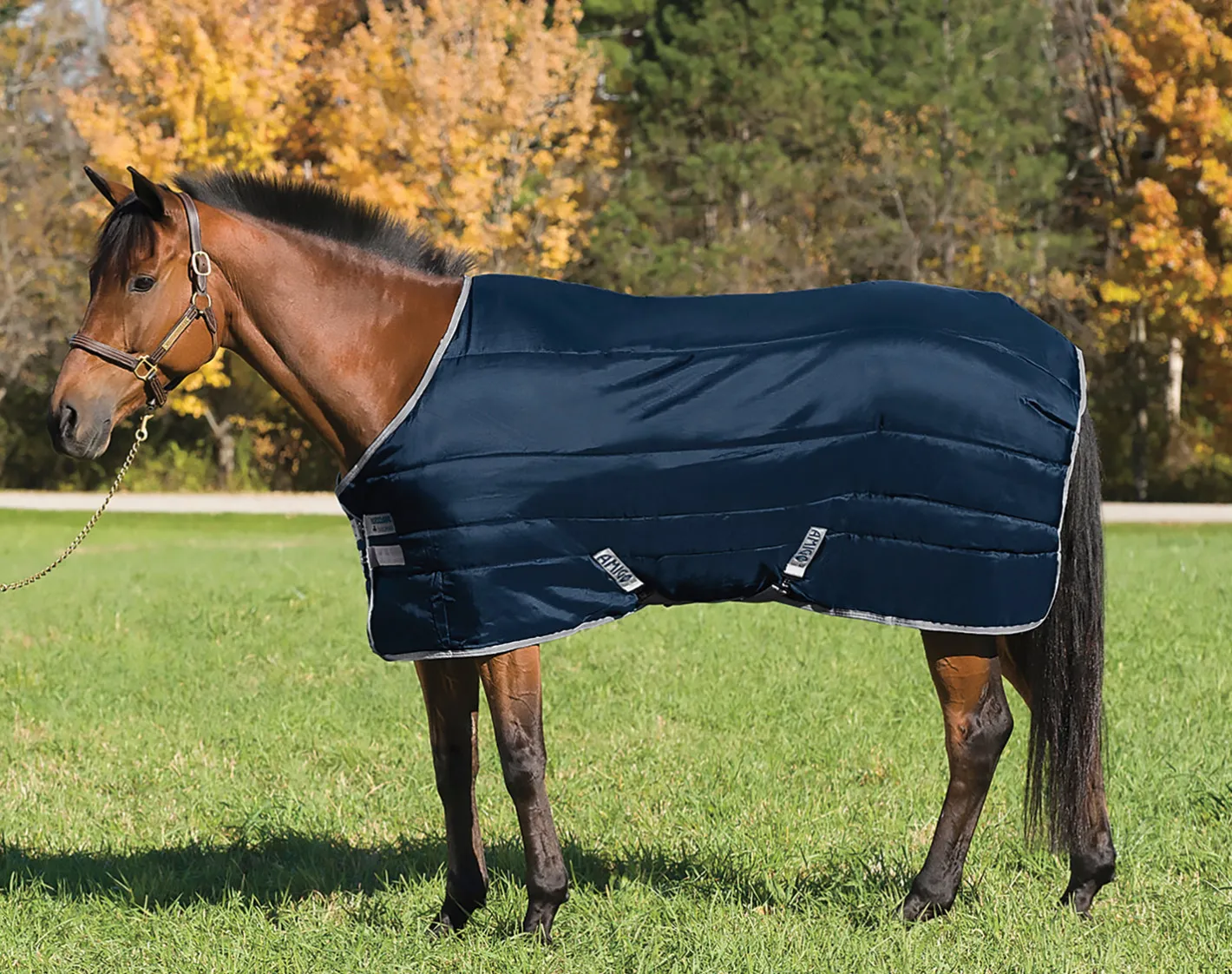 HORSEWARE ® Ireland Amigo® Stable Blanket