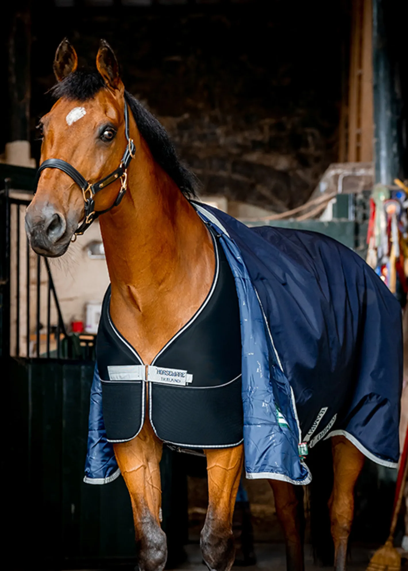 HORSEWARE ® Ireland Dry Liner