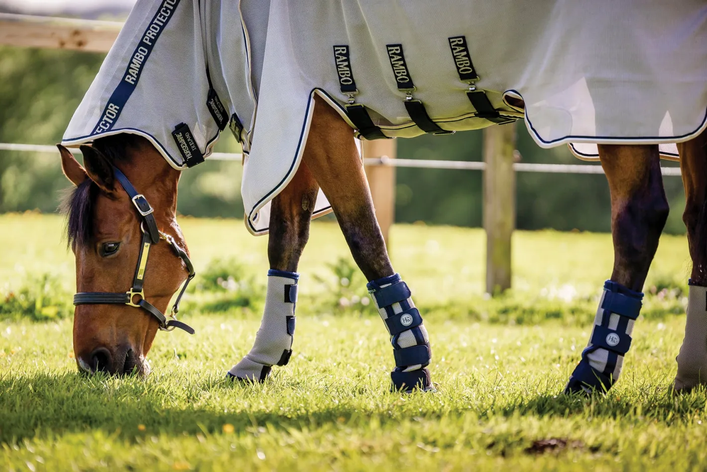 HORSEWARE ® Ireland Fly Boots