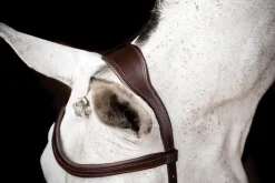 HORSEWARE ® Ireland Micklem2 Competition Bridle with Reins