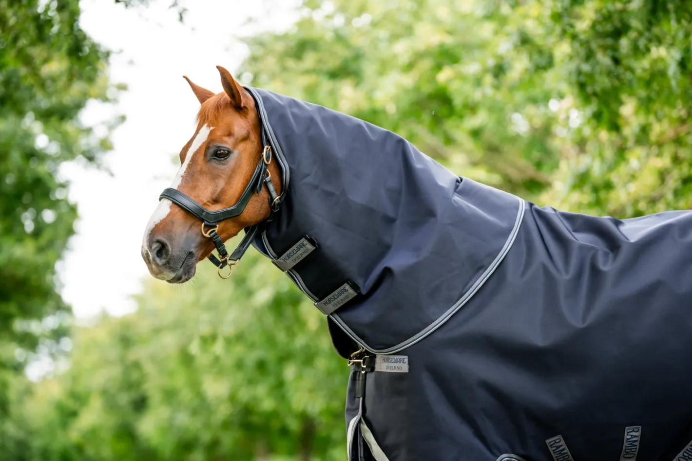 HORSEWARE ® Ireland Rambo® 1680 Plus Turnout Sheet
