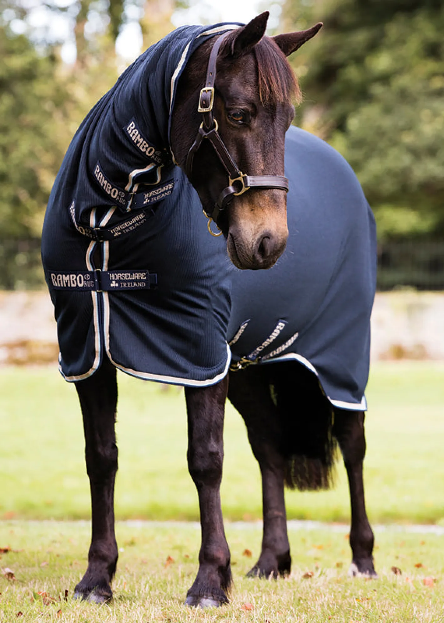 HORSEWARE ® Ireland Rambo® Dustbuster