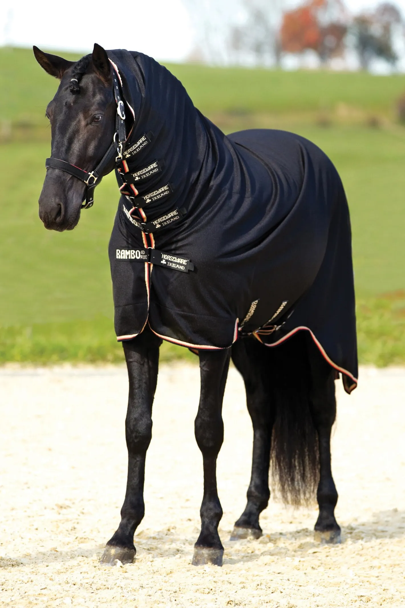 HORSEWARE ® Ireland Rambo® Dustbuster