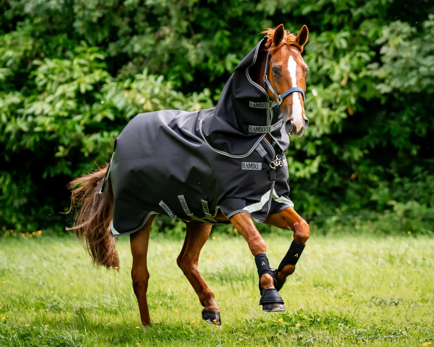 HORSEWARE ® Ireland Rambo® 1680D Vari-Layer Plus Heavy Turnout–450g