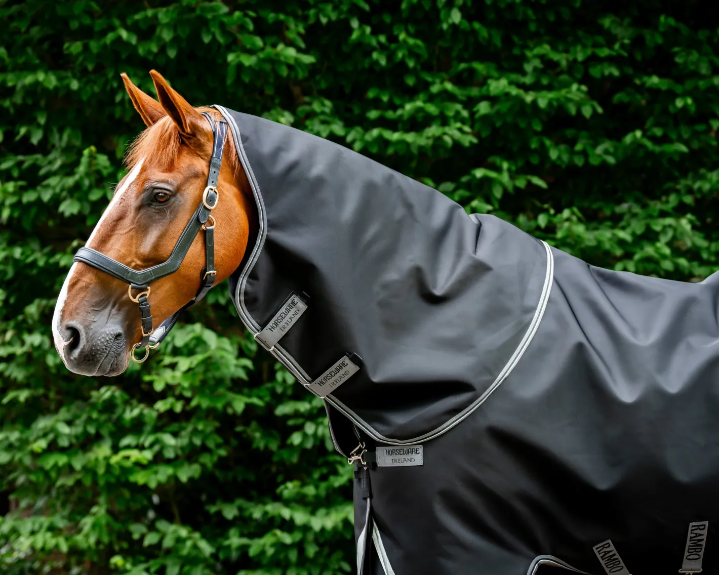HORSEWARE ® Ireland Rambo® 1680D Vari-Layer Plus Heavy Turnout–450g
