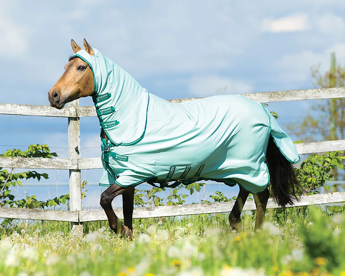 HORSEWARE ® Ireland Rambo® Hoodie