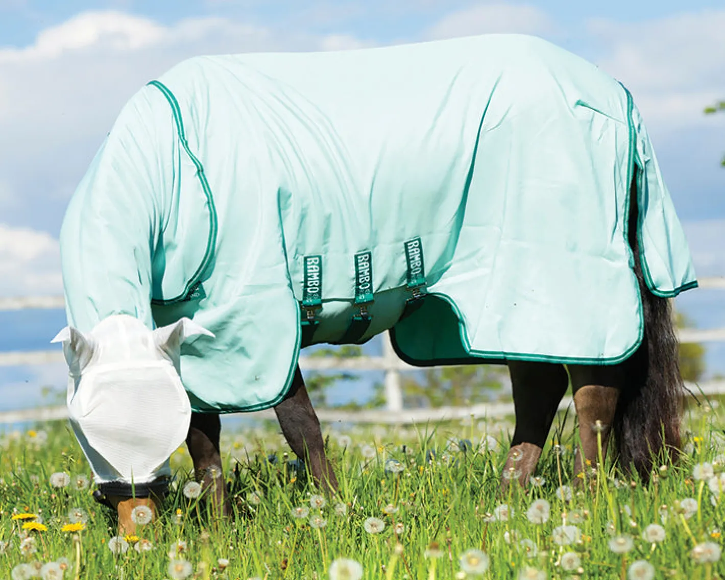 HORSEWARE ® Ireland Rambo® Hoodie