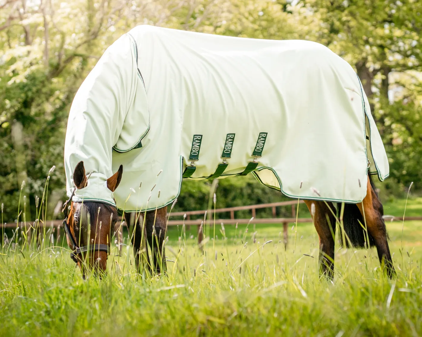 HORSEWARE ® Ireland Rambo® Hoodie