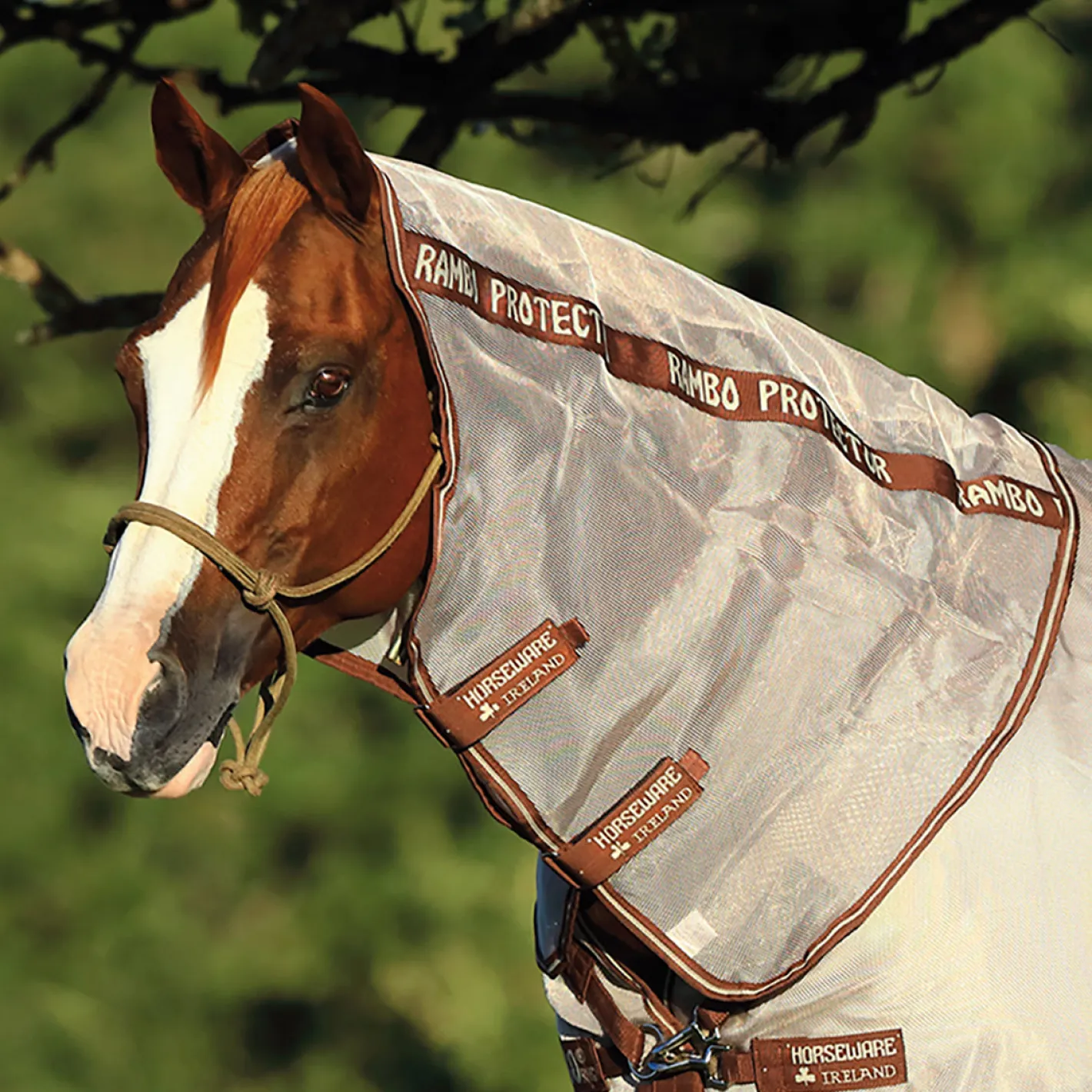 HORSEWARE ® Ireland Rambo® Protector Quarter Horse Optional Neck Cover