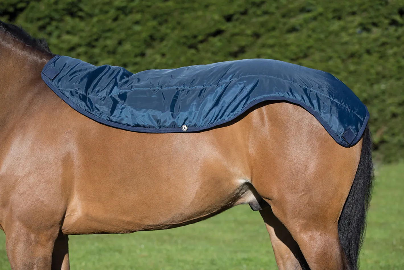 HORSEWARE ® Ireland Rambo® Summer Series Turnout Sheet
