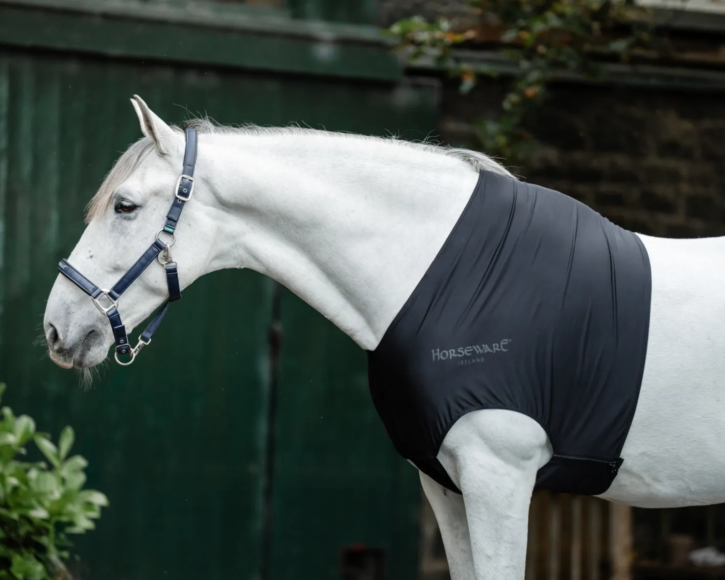 HORSEWARE ® Ireland Rambo® Slinky Shoulder Guard