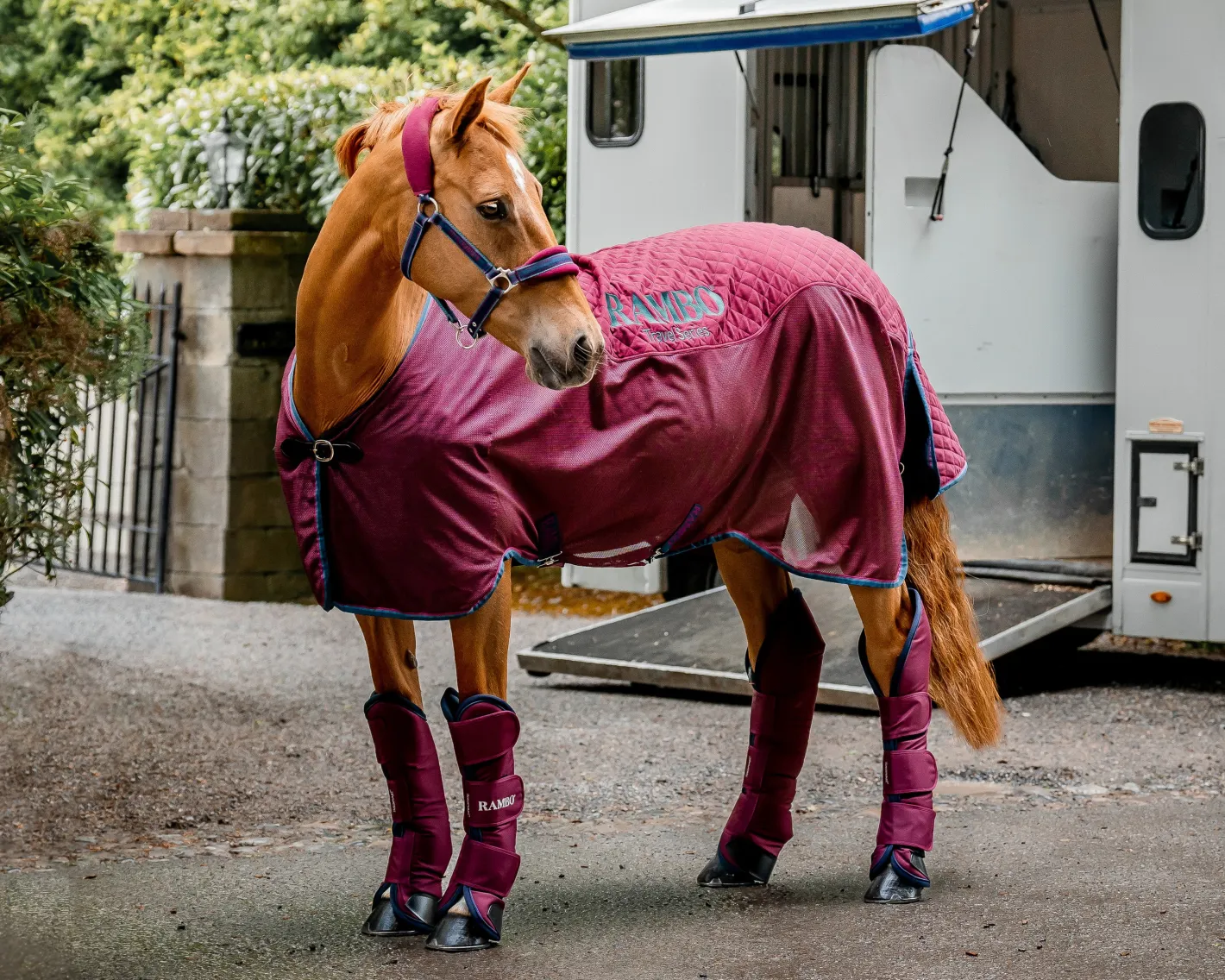 HORSEWARE ® Ireland Rambo® Travel Series Sheet