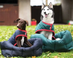 HORSEWARE ® Ireland Rambo® Waterproof Dog Blanket