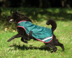 HORSEWARE ® Ireland Rambo® Waterproof Dog Blanket