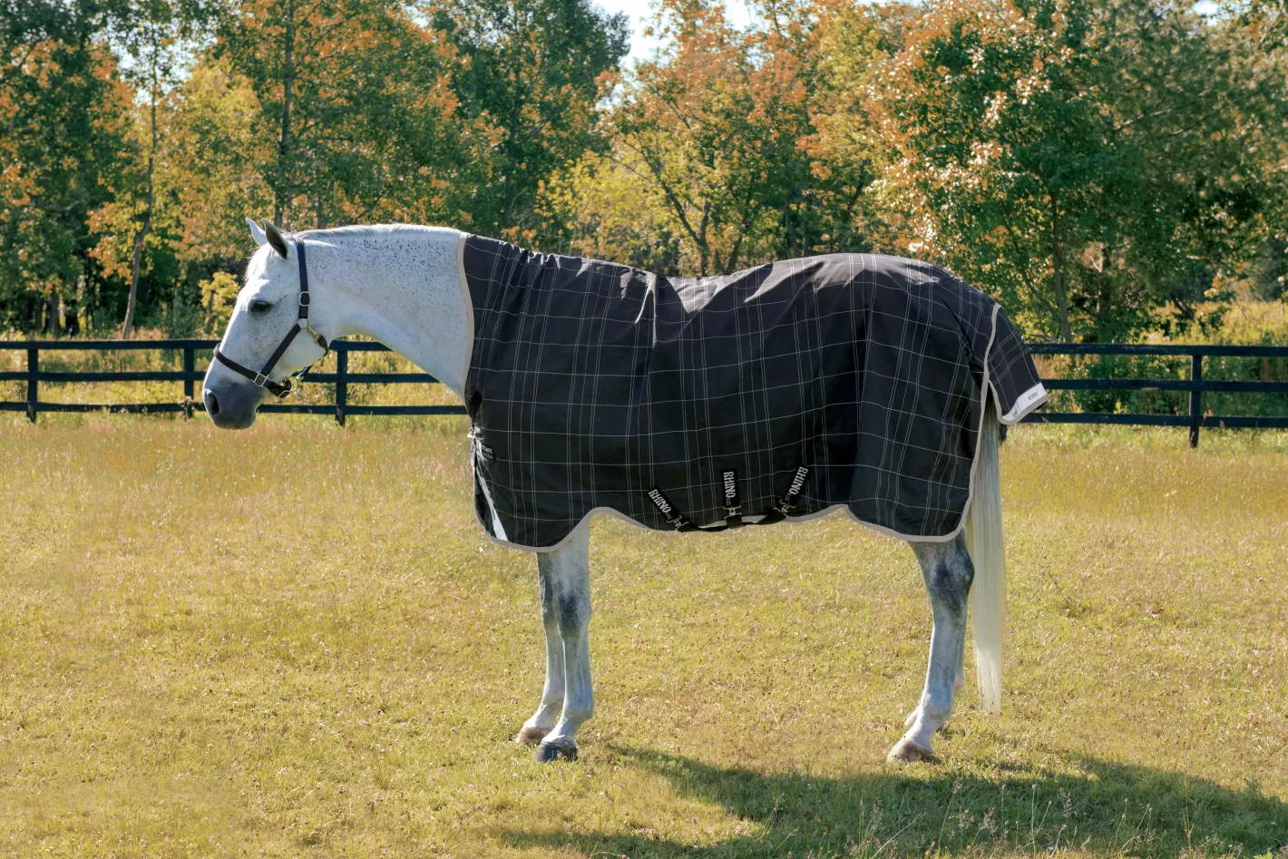 HORSEWARE ® Ireland Rhino® Medium-Weight Wug with Vari-Layer®