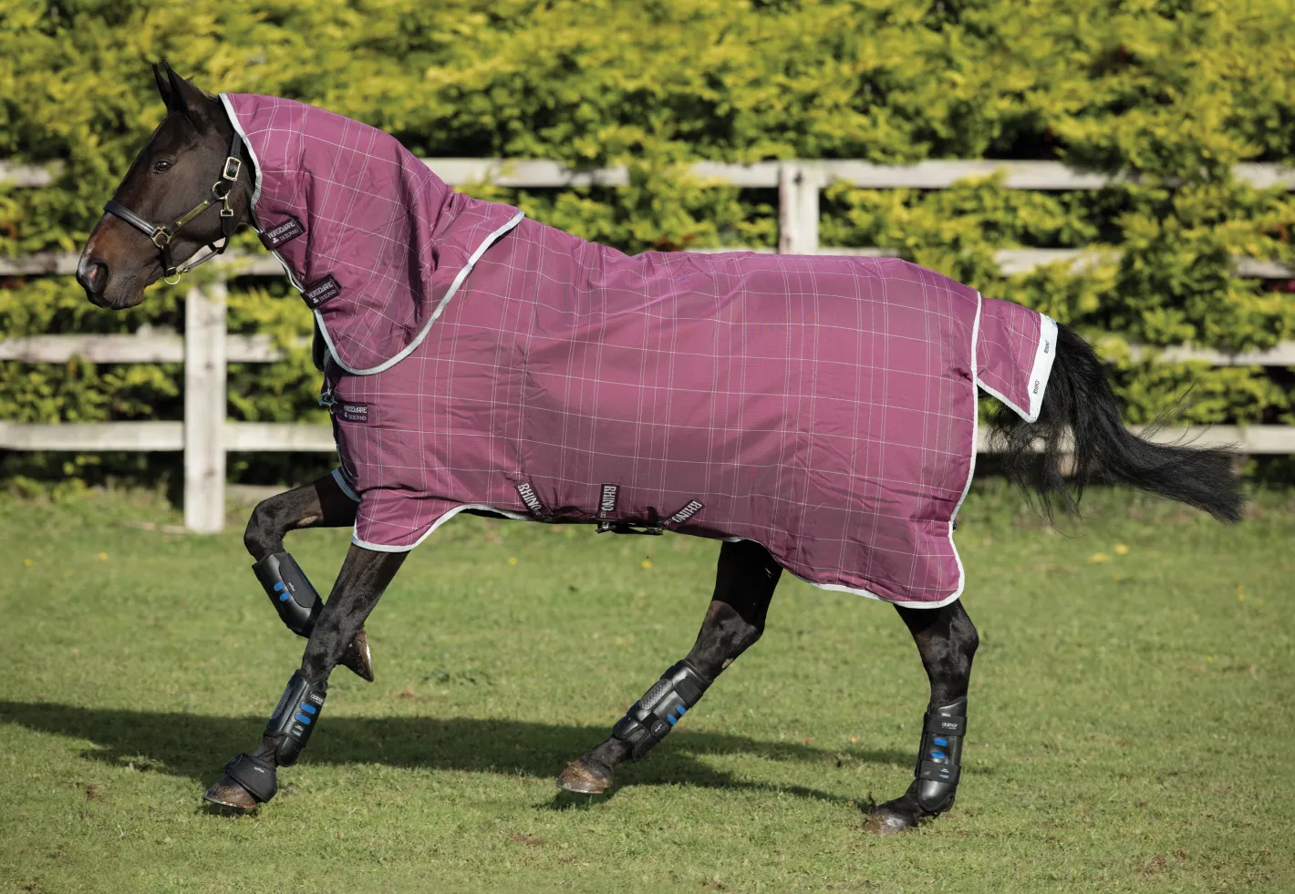HORSEWARE ® Ireland Rhino® Plus Heavyweight Blanket with Vari-Layer®