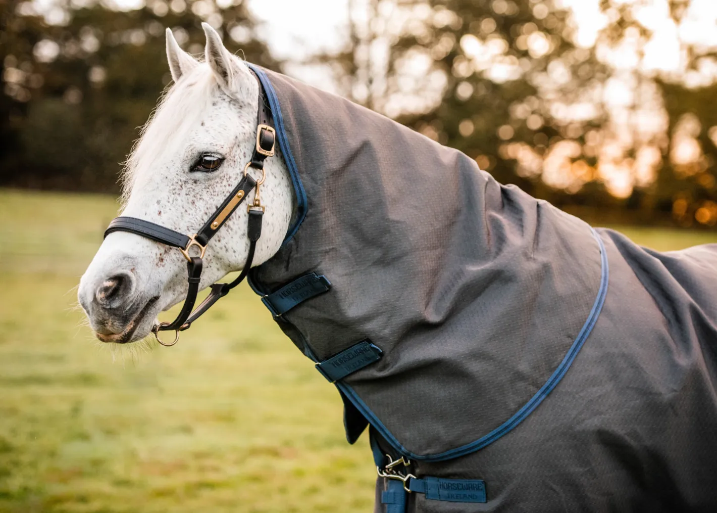 HORSEWARE ® Ireland Rhino® Plus HexStop Vari-Layer® 250 Gram Medium-Weight Turnout Blanket
