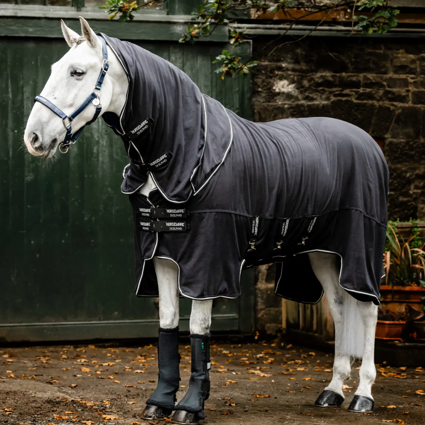 HORSEWARE ® Ireland Show Ready Rug