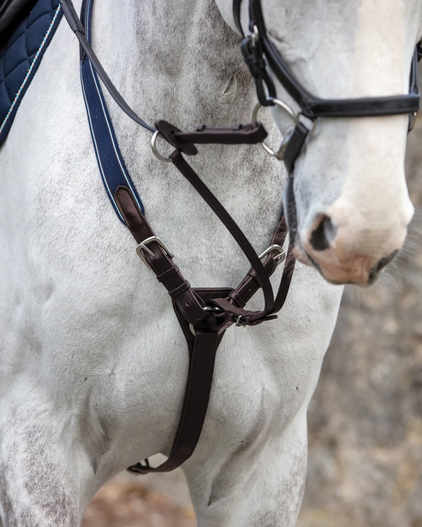 HORSEWARE ® Rambo® Micklem® Three-Point Breastplate