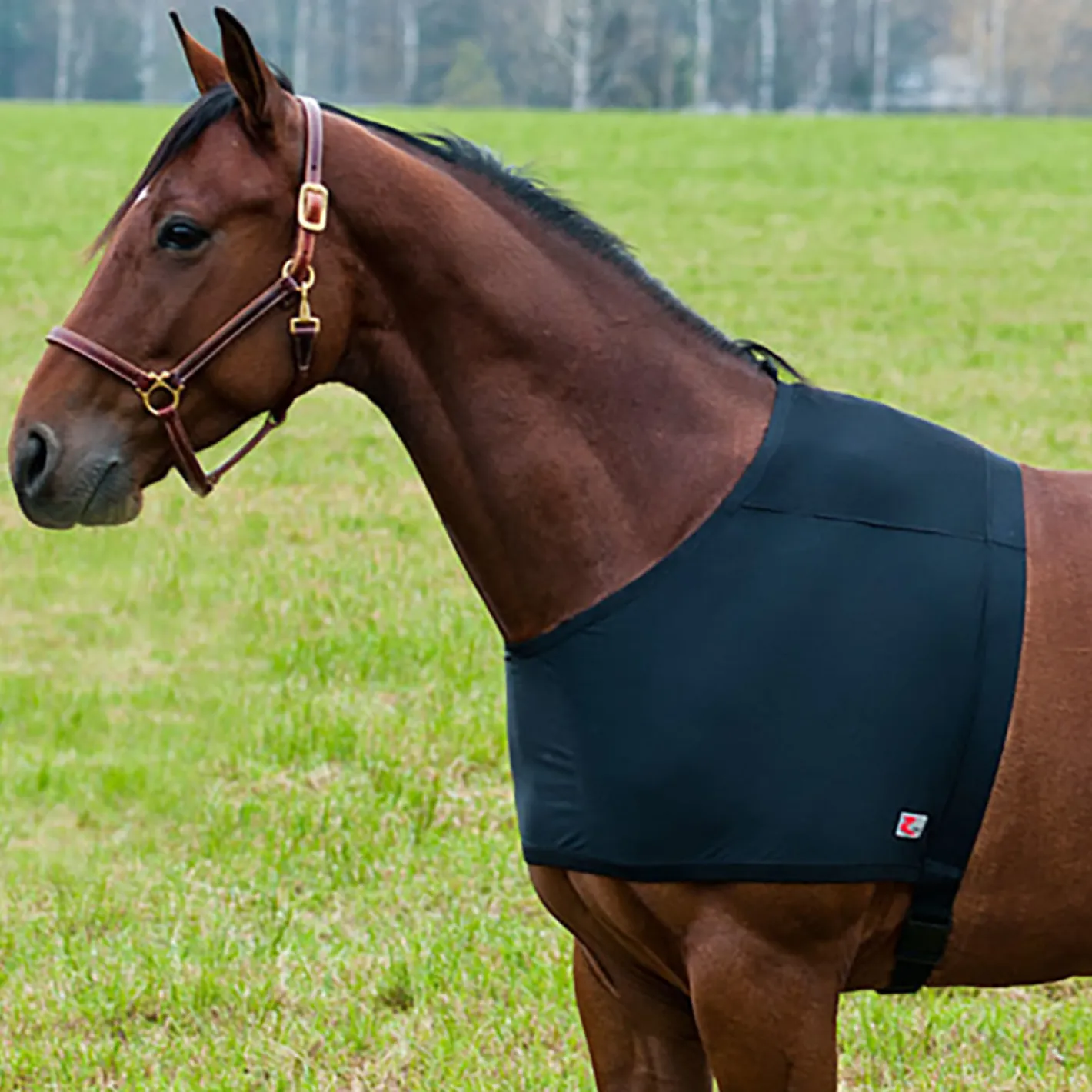 EQUINAVIA Horze Comforce Blanket Shoulder Guard