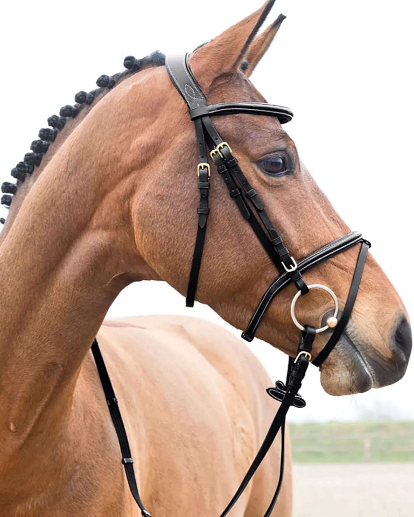 EQUINAVIA Horze Constance Padded Flash Snaffle Bridle