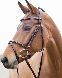 EQUINAVIA Horze Constance Padded Flash Snaffle Bridle