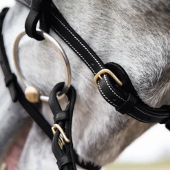EQUINAVIA Horze Constance Padded Flash Snaffle Bridle