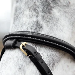 EQUINAVIA Horze Constance Padded Flash Snaffle Bridle