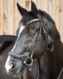 EQUINAVIA Horze Highbury Anatomical Crystal Dressage Bridle