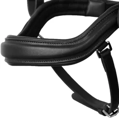 EQUINAVIA Horze Highbury Anatomical Crystal Dressage Bridle