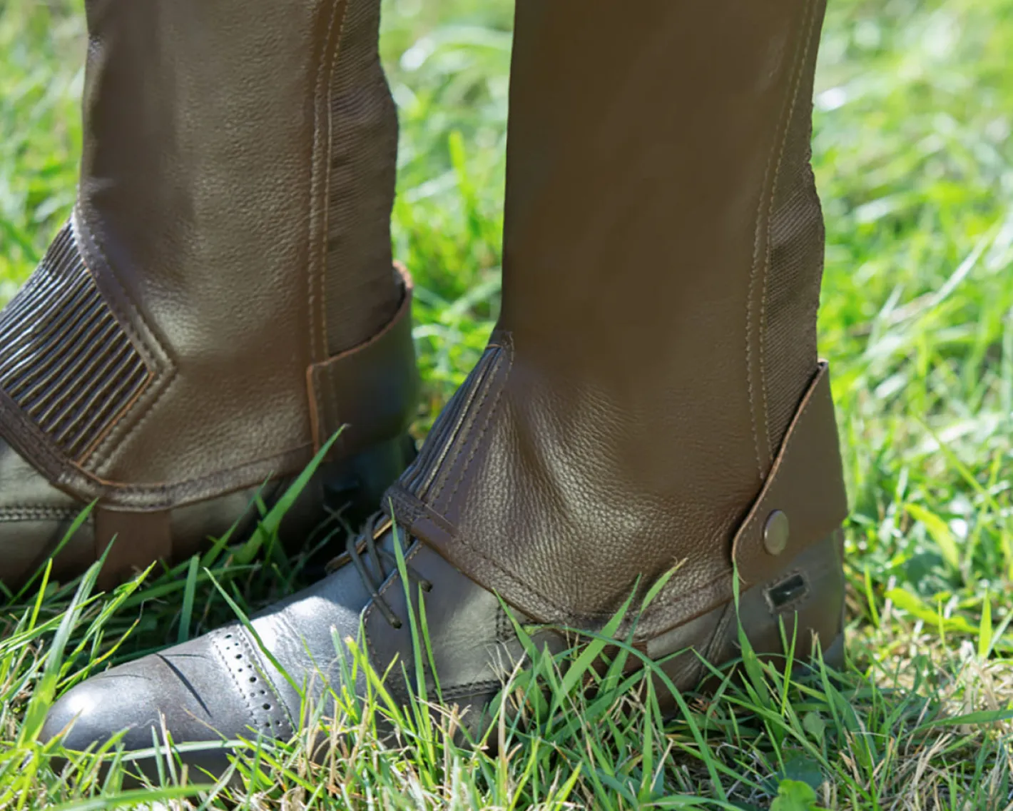 EQUINAVIA Horze Leather Half Chaps with Elastic