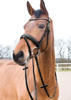 EQUINAVIA Horze Lester Snaffle Bridle